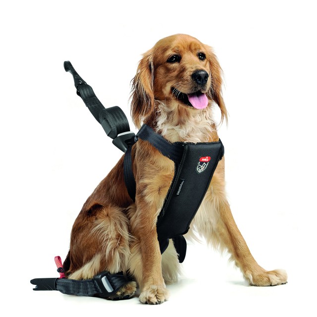 samochodowa uprząż bezpieczeństwa dla psa