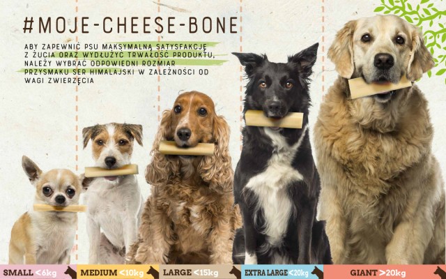 Rozmiary Cheese Bone