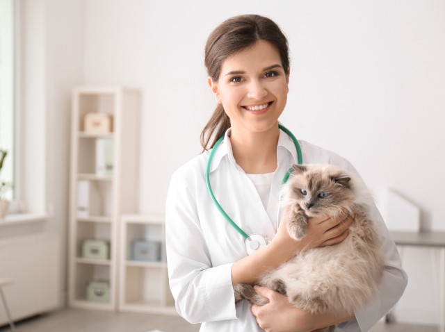 Przedsiębiorstwo z misją Grupa Zolux cele