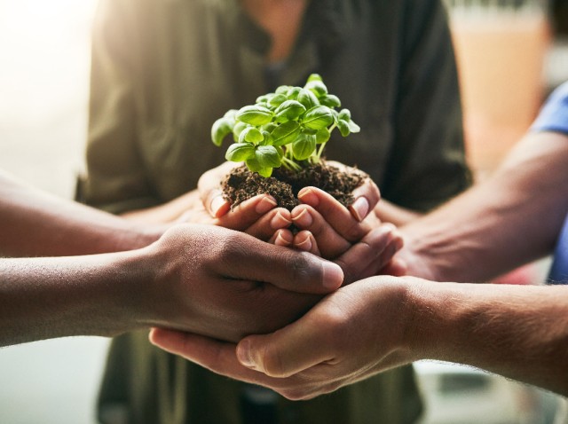Przedsiębiorstwo z misją Grupa Zolux cele