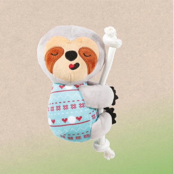 leniwiec ze sznurkiem